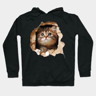 Darling kitty squeezing through a hole in the wall Hoodie